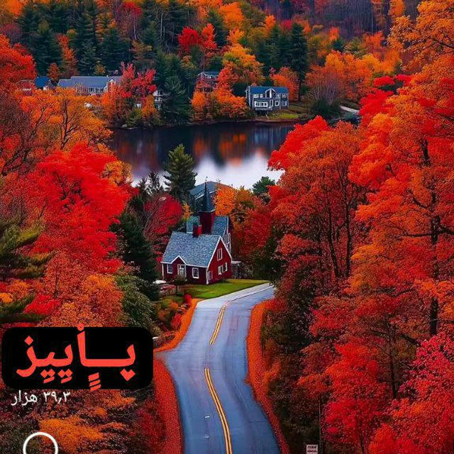 🧡🍁🍁 پٍِْٰــًّاٍٍیًٌٍٍَـًًًًًًًًًیٍَْٰـزٍٍِ 🍁🍁🧡