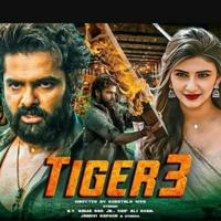 TIGER 3 MOVIE HD