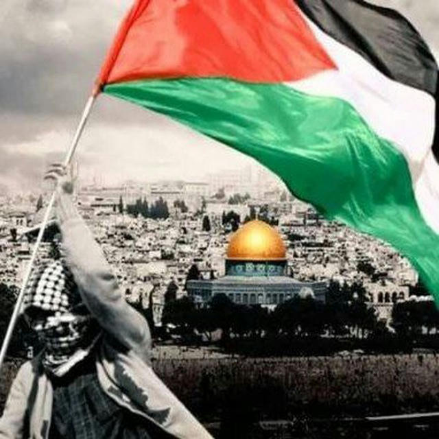 World News / Palestine 🇵🇸 ❤