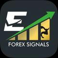 Forex signal_HUNTER💲