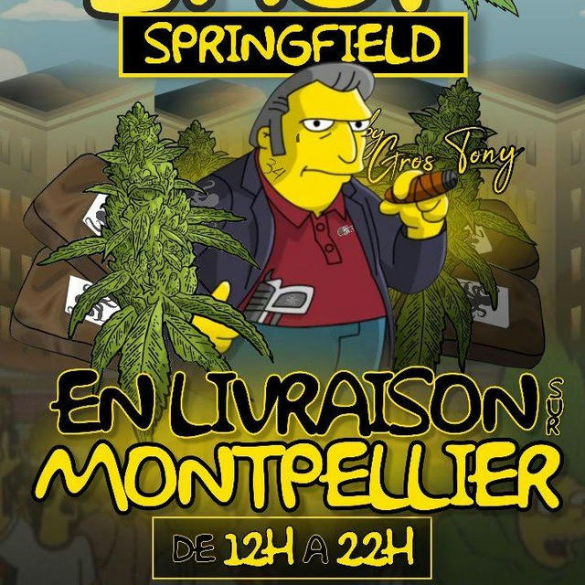 LA PIEUVRE 2 SPRINGFIELD 🐙🏴‍☠️🇲🇽🐙🏴‍☠️🇲🇽