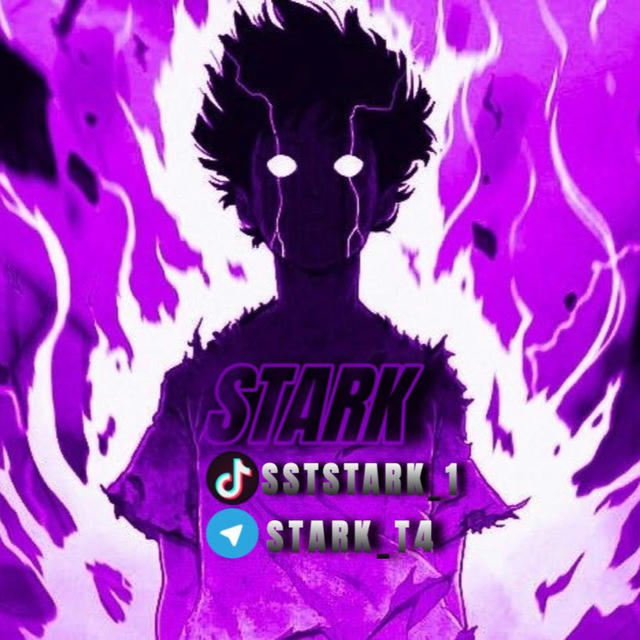 Stark Contintent 💥