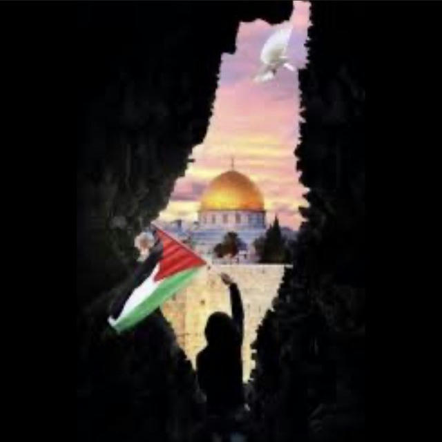 أبناء كفر ثلث 🇵🇸✌️