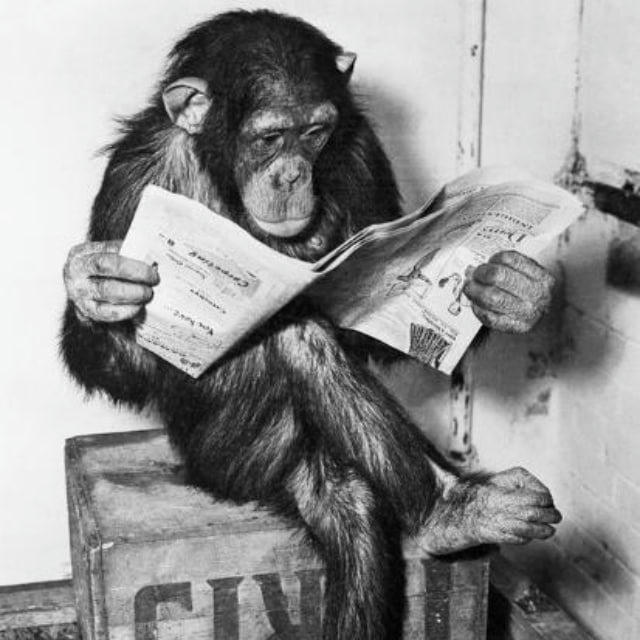 Reading Ape Club