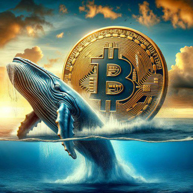 🎯Wall crypto 🐳