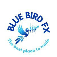 💎 Blue Bird Fx 💎