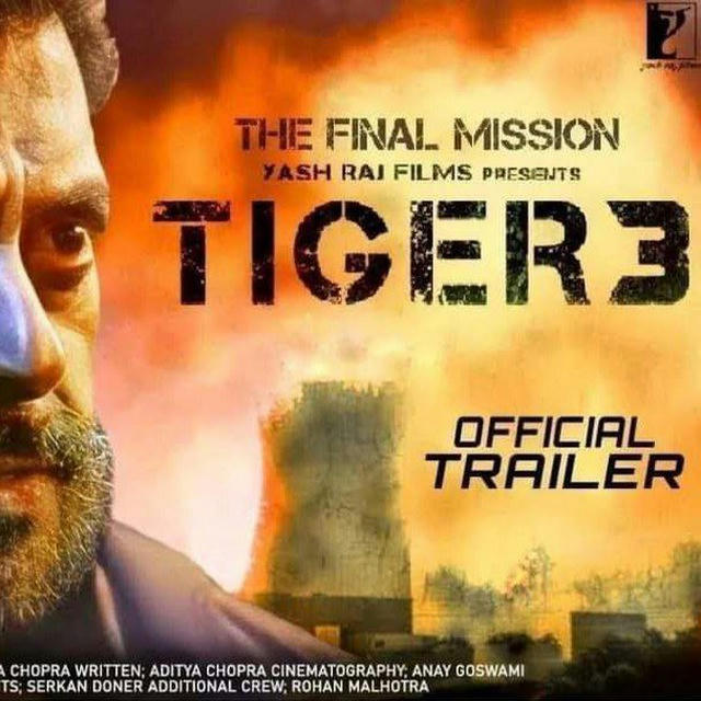 Tiger 3 movie