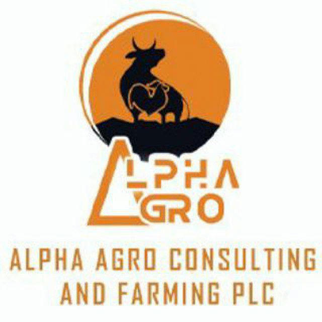 አልፋ የእንስሳት እርባታ እና የማማከር አገልግሎት ኃ/የ/የግ/ማህበር ( Alpha Agro Consulting and farming plc.)