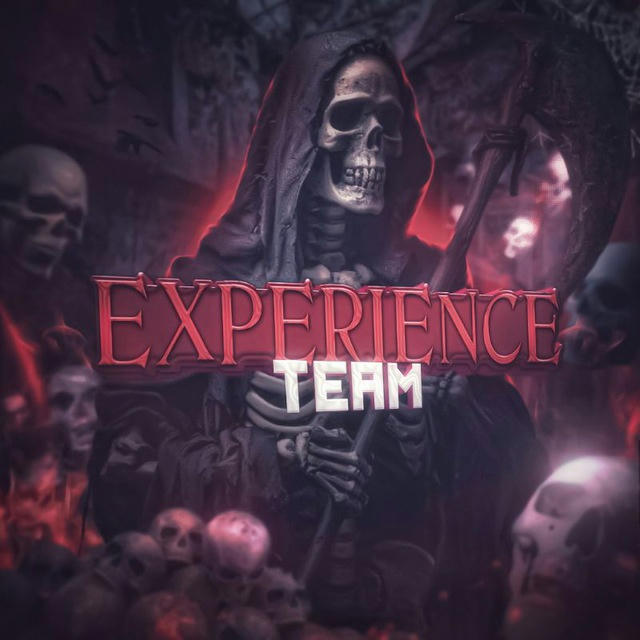 experience Team - New era