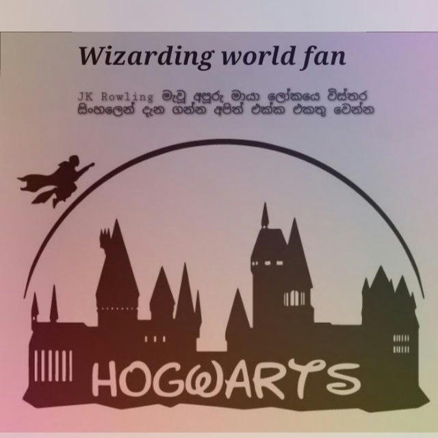 Wizarding World Fan