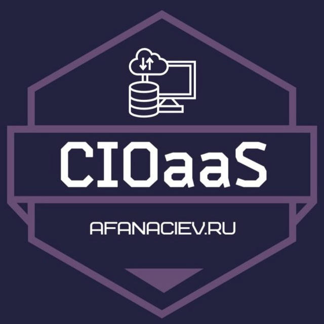 Главный по цифровизации | CIOaaS