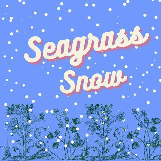 Seagrass Snow
