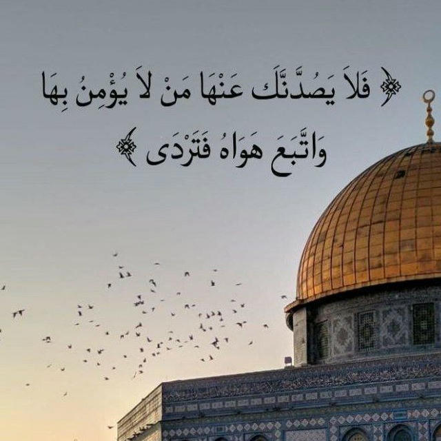 نسيم القدس🇵🇸 𓂆 🫀 .- ℙ𝕒𝕝𝕖𝕤𝕥𝕚𝕟𝕖