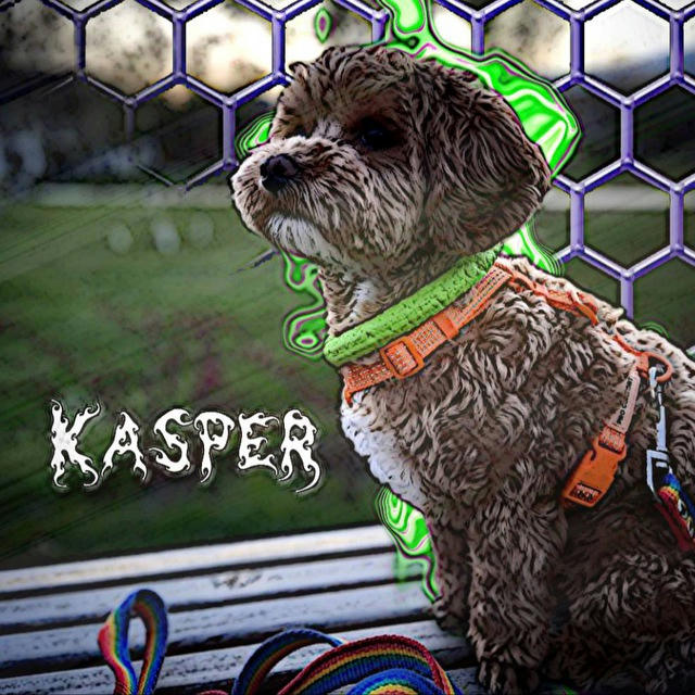 🧩kasper🧩