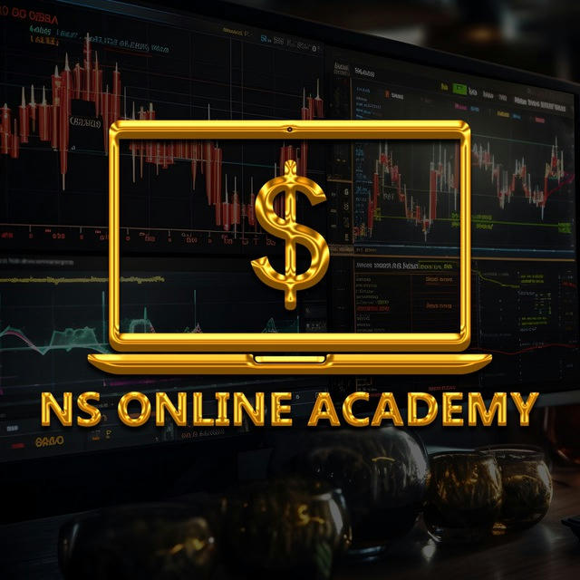 NS Online Academy