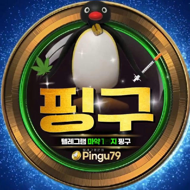 🐧 인증채널 Pingu79 🐧