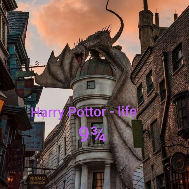 Harry Potter- life 9¾🐍