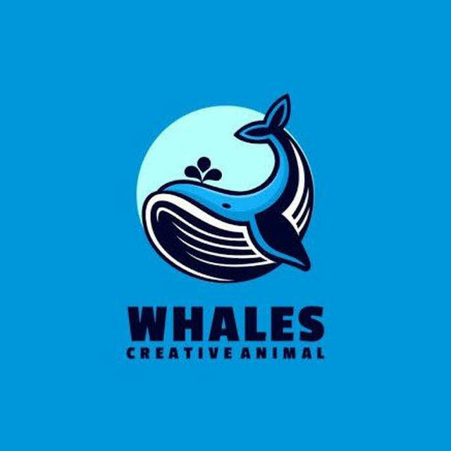 Dubai Whale Calls 🐬