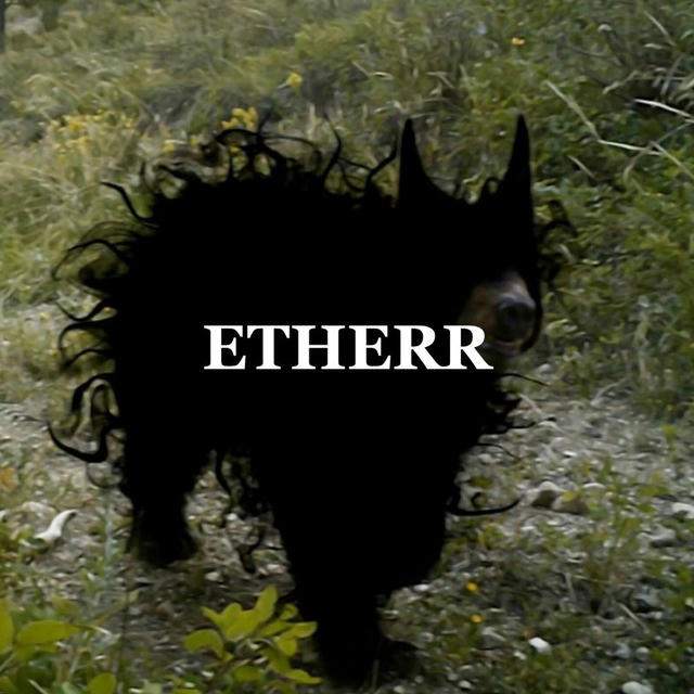 ETHERR