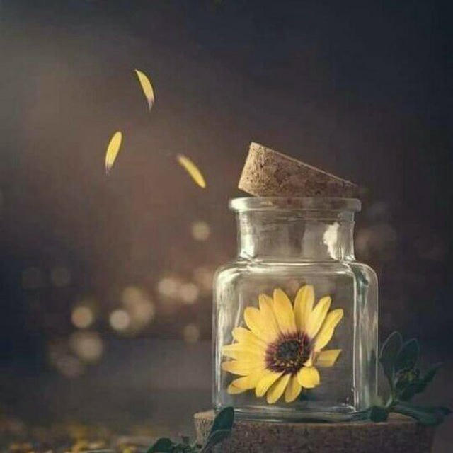 هذه هي الحياة💛