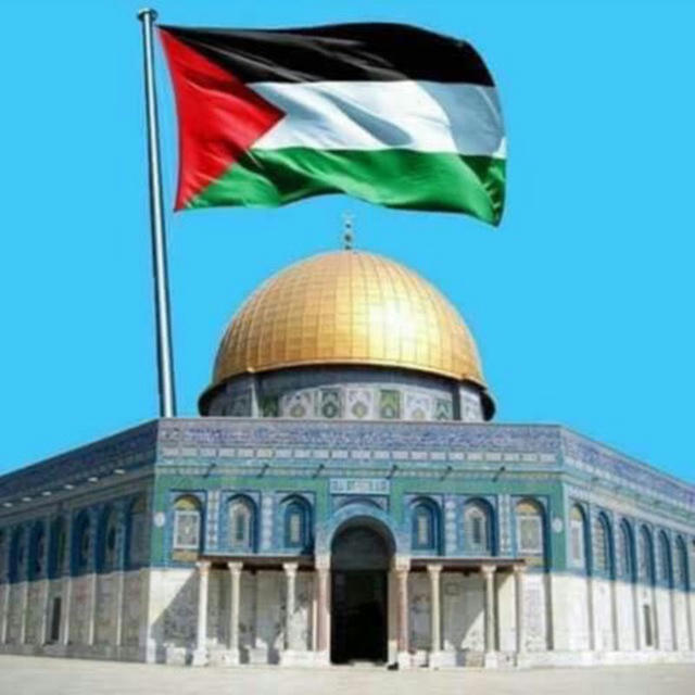 Palestine 24 🇹🇳🇵🇸