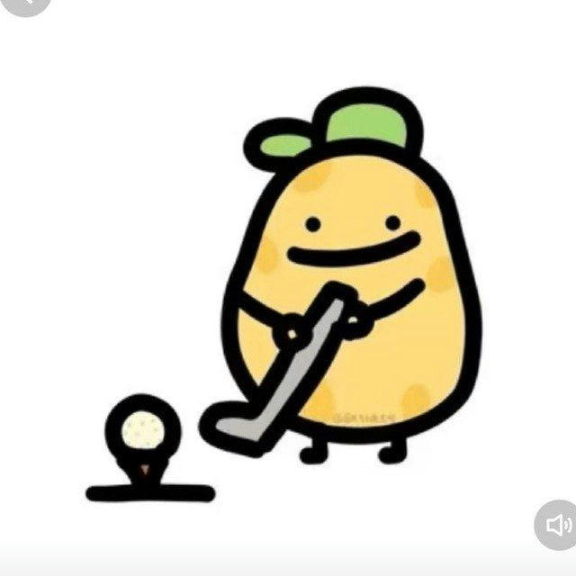 土豆官方频道