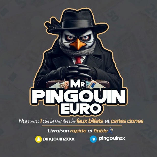 Carte clone et faux billets chez pingouin