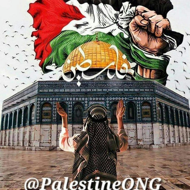 Palestine Gaza Al-Quds/Filistin Gazze Kudüs