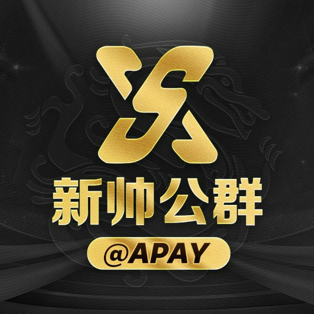 新帅担保公群导航@APAY