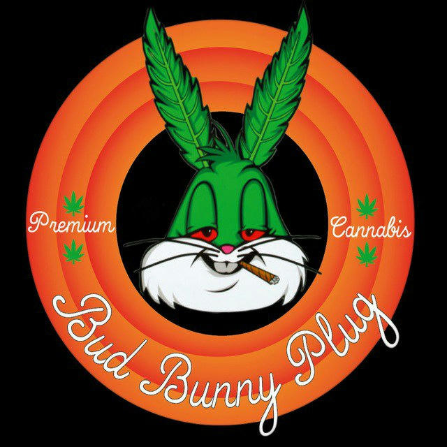 Bud Bunny Club
