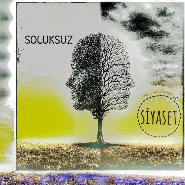 SOLUKSUZ SİYASET