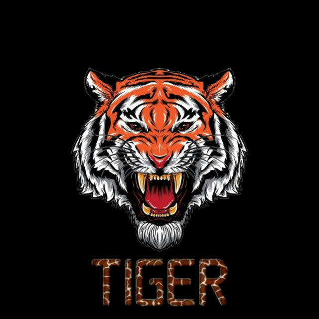 Tiger Bet 🐯