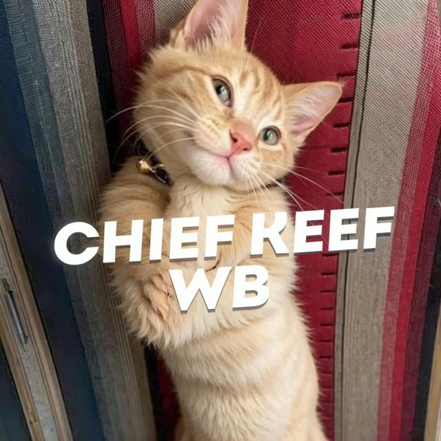 chief keef wb