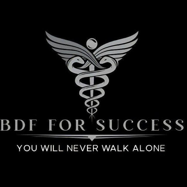 Bdf for Success | channel
