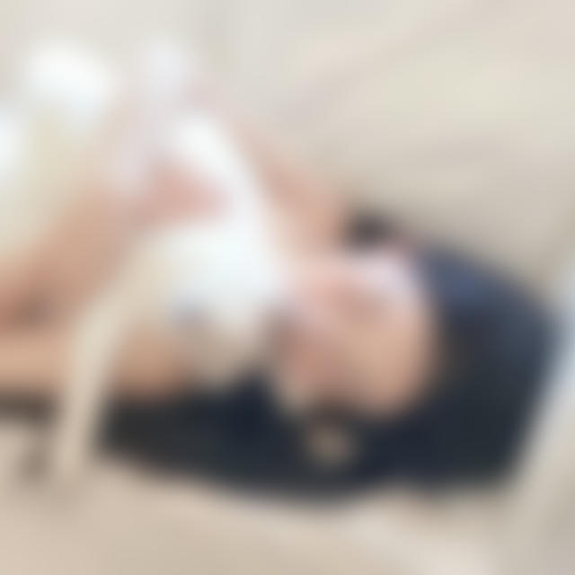 素材|sucai