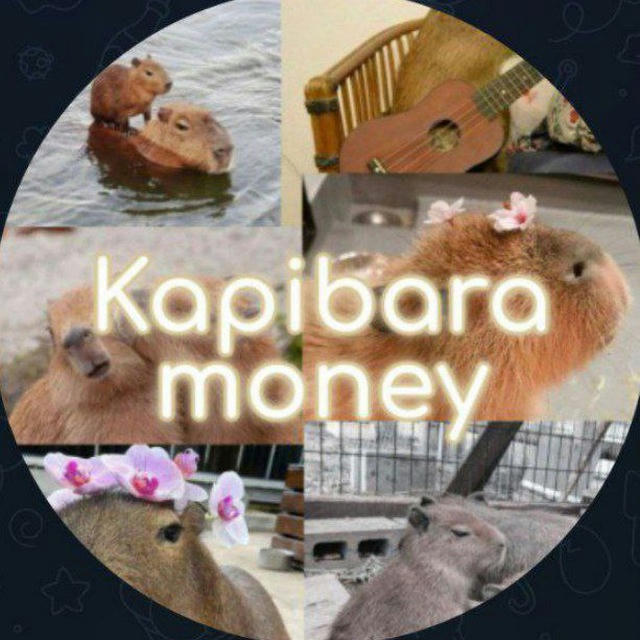 Kapibara money❄️