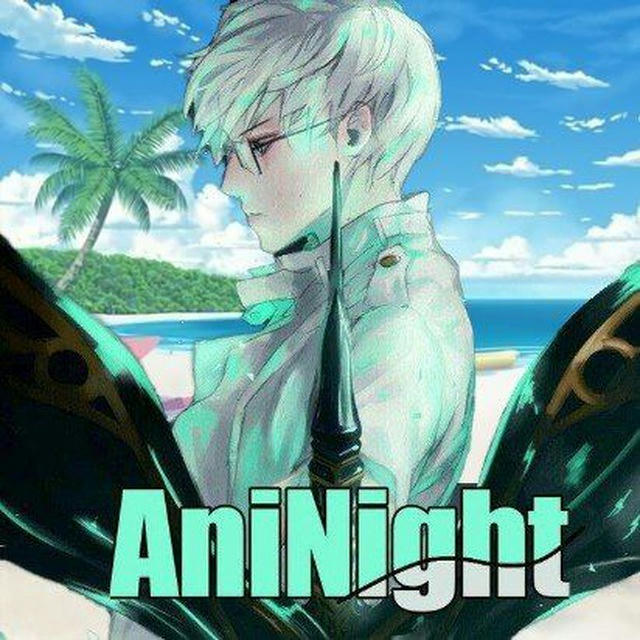 🏖️🌃AniNight🌃 Team