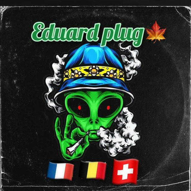 Eduard plug 🇪🇺