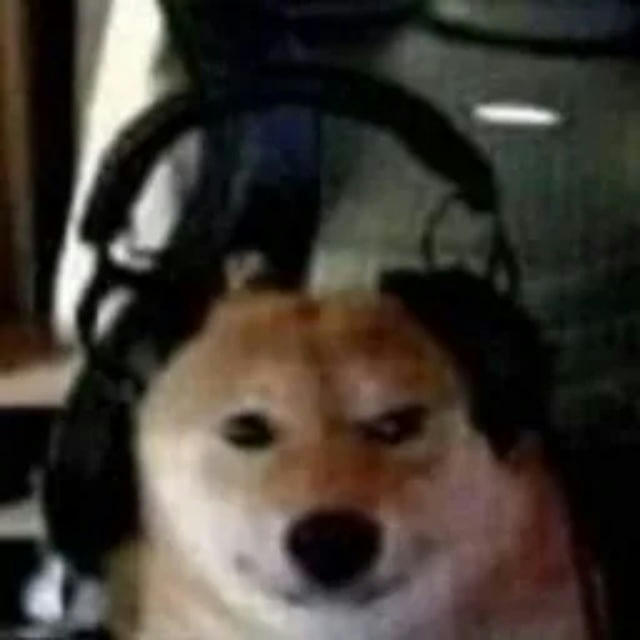 headset doggy