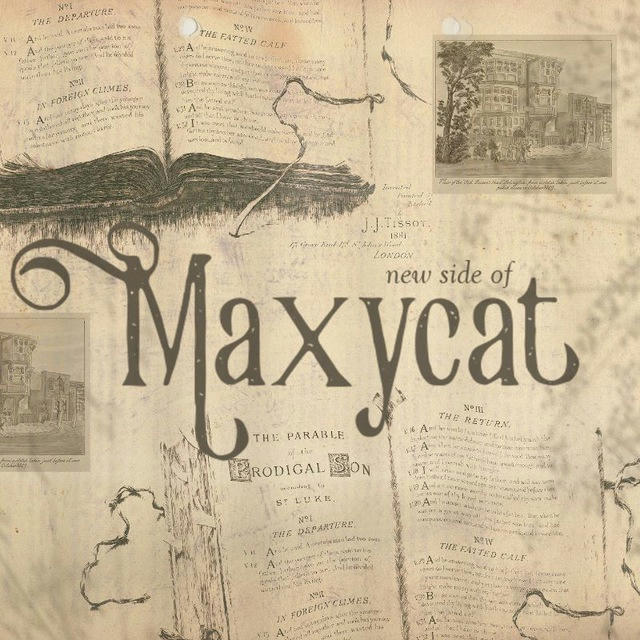 Maxycat 🐈‍⬛🐈. SOON