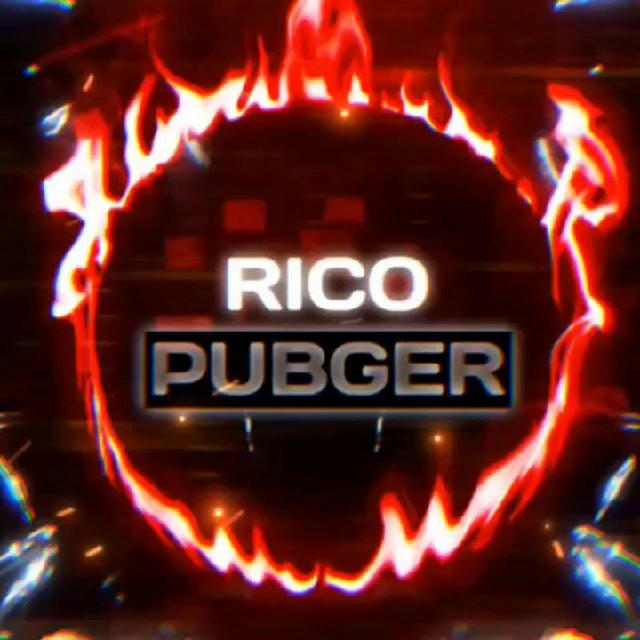RICO PUBGER