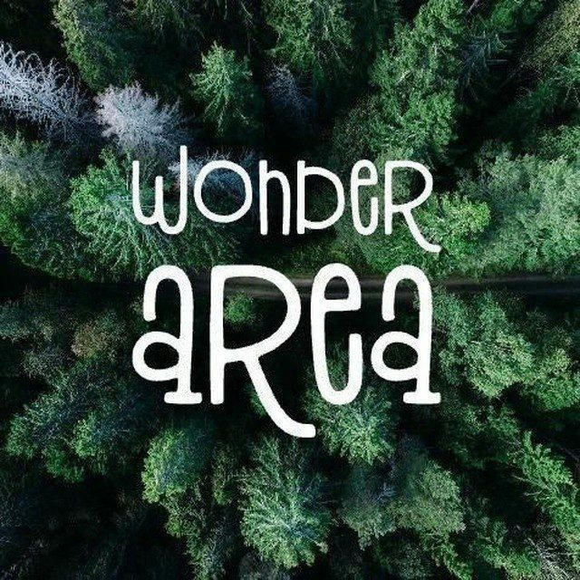 Wonder area 🌎