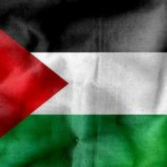 Update Palestina 🇵🇸