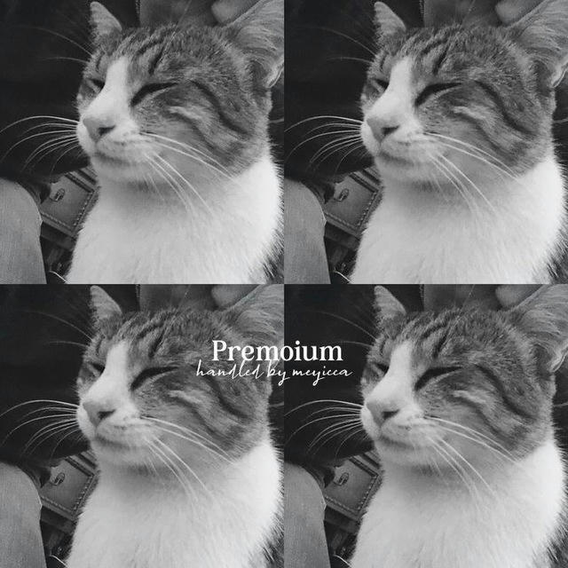 ♡ PREMOiUM.