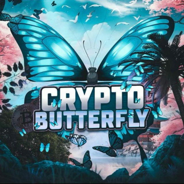 CRYPTO BUTTERFLY 🦋