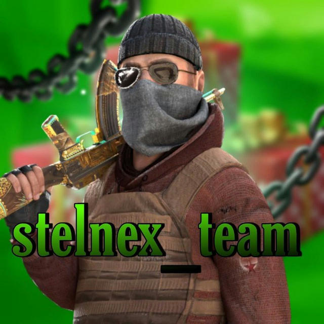 Stelnex_team
