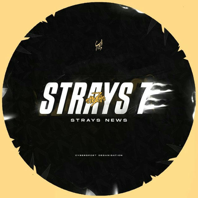 Strays News