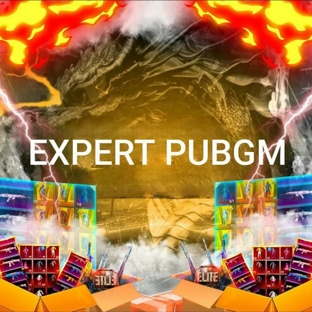 EXPERT | LIVE