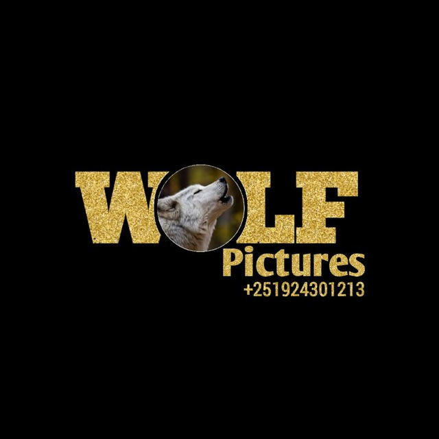Wolf Pictures Dilla 🐺
