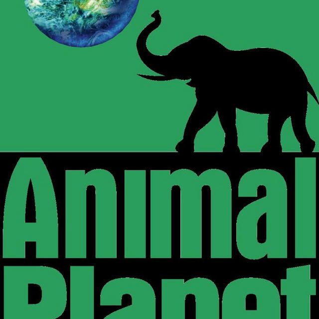 Animal Planet UA